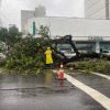 Temporal provoca queda de árvores em Caxias e outros estragos na Serra