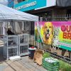 Feira de Adoção deste final de semana resulta em 12 animais que recebem um novo lar